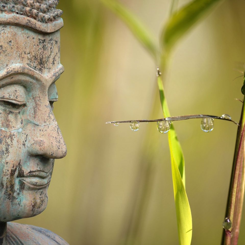 Top 15 Mindfulness Quotes: Inspiratie voor een Bewuster Leven